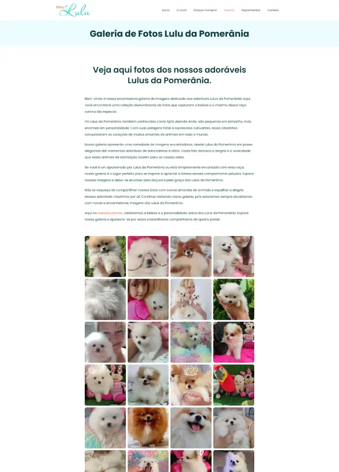 Página de cachorros disponiveis